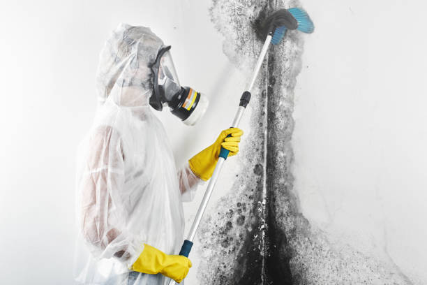 Best Forensic Mold Investigation  in Albion, IN