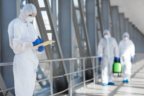 Best Post-Remediation Verification Testing  in Albion, IN