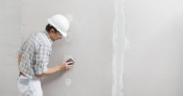 Forensic Mold Investigation in Albion, IN
