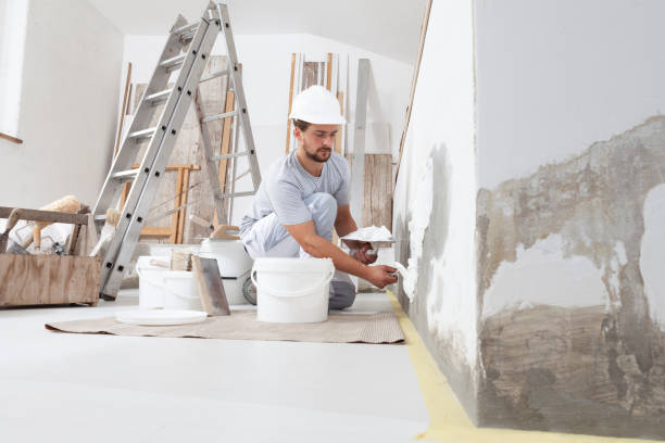 Best Residential Mold Inspection & Testing  in Albion, IN